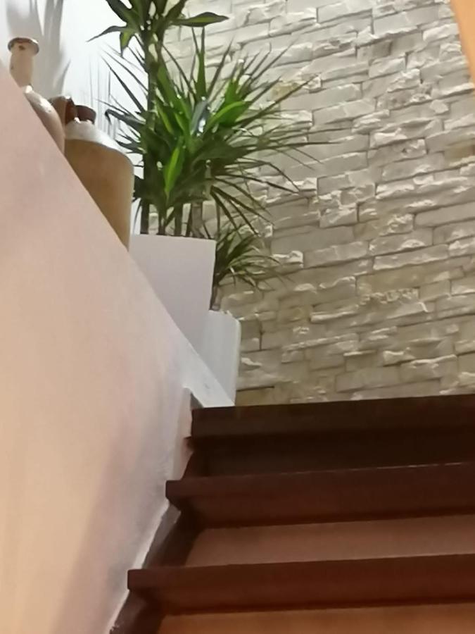 Borgo Fontana B&B 巴里 外观 照片